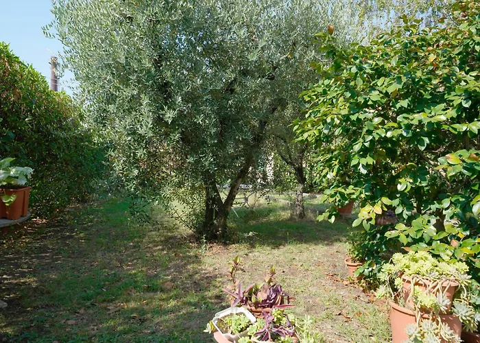La Casa Dell\'Olivo