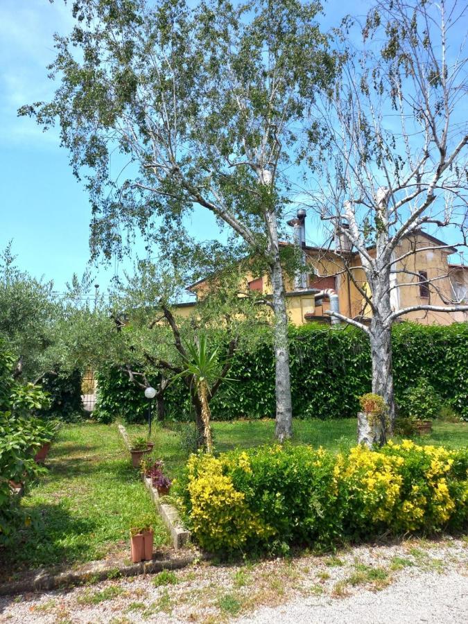 Holiday home La Casa Dell'olivo *