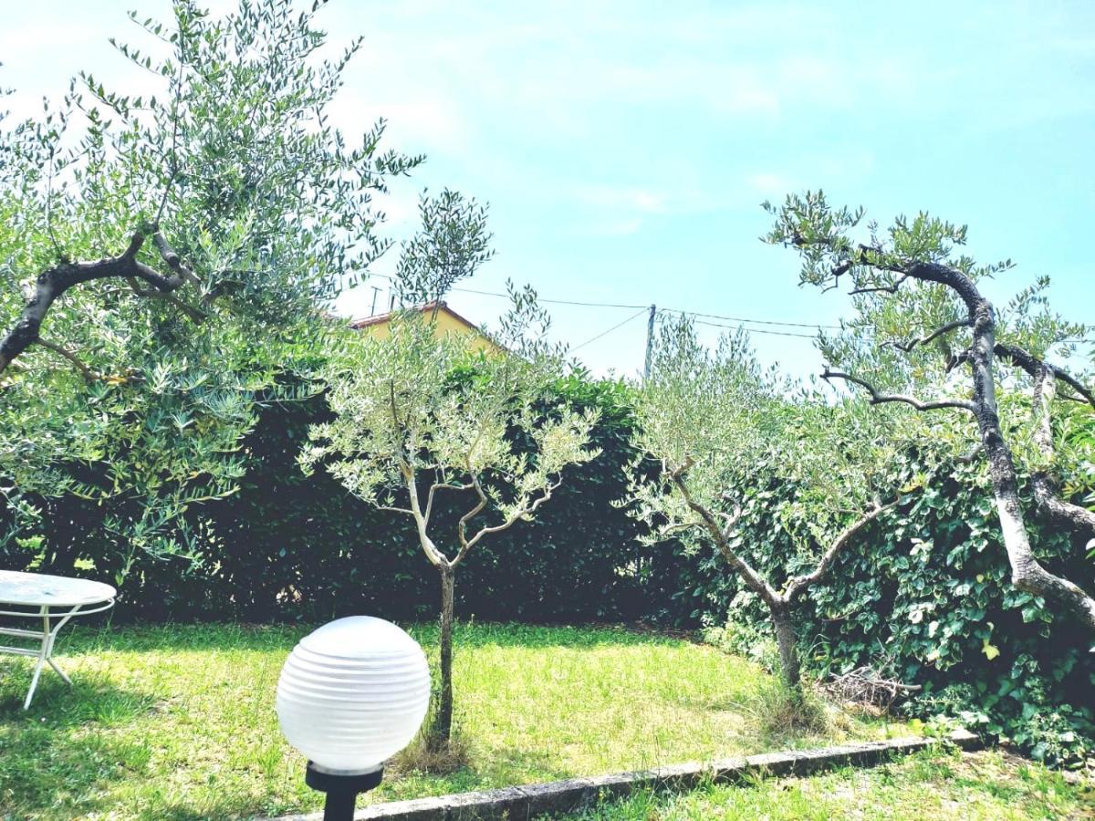 La Casa Dell'olivo *