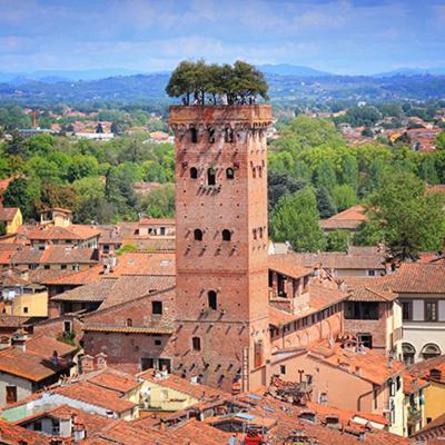 La Casa Dell'olivo Pescia