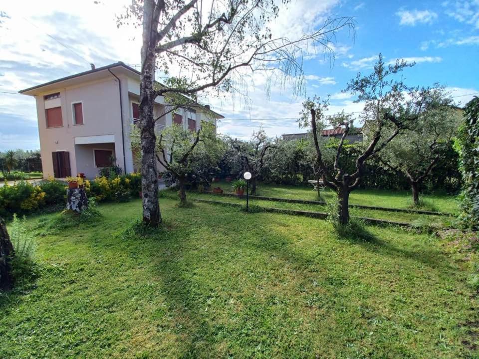 Holiday home La Casa Dell'olivo Pescia