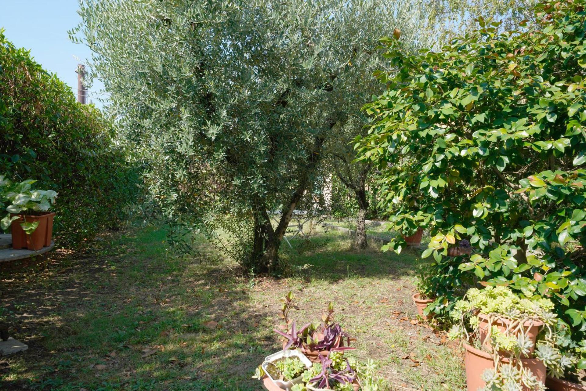 Holiday home La Casa Dell'olivo